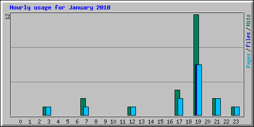 Hourly usage for January 2010