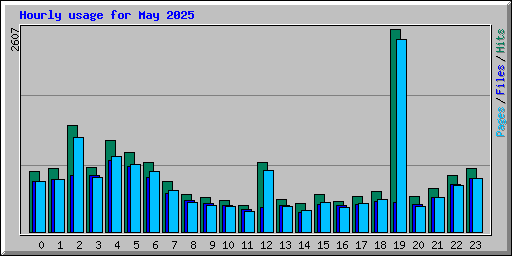 Hourly usage for May 2025