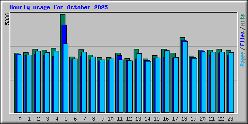 Hourly usage for October 2025