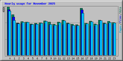 Hourly usage for November 2025