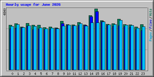 Hourly usage for June 2026